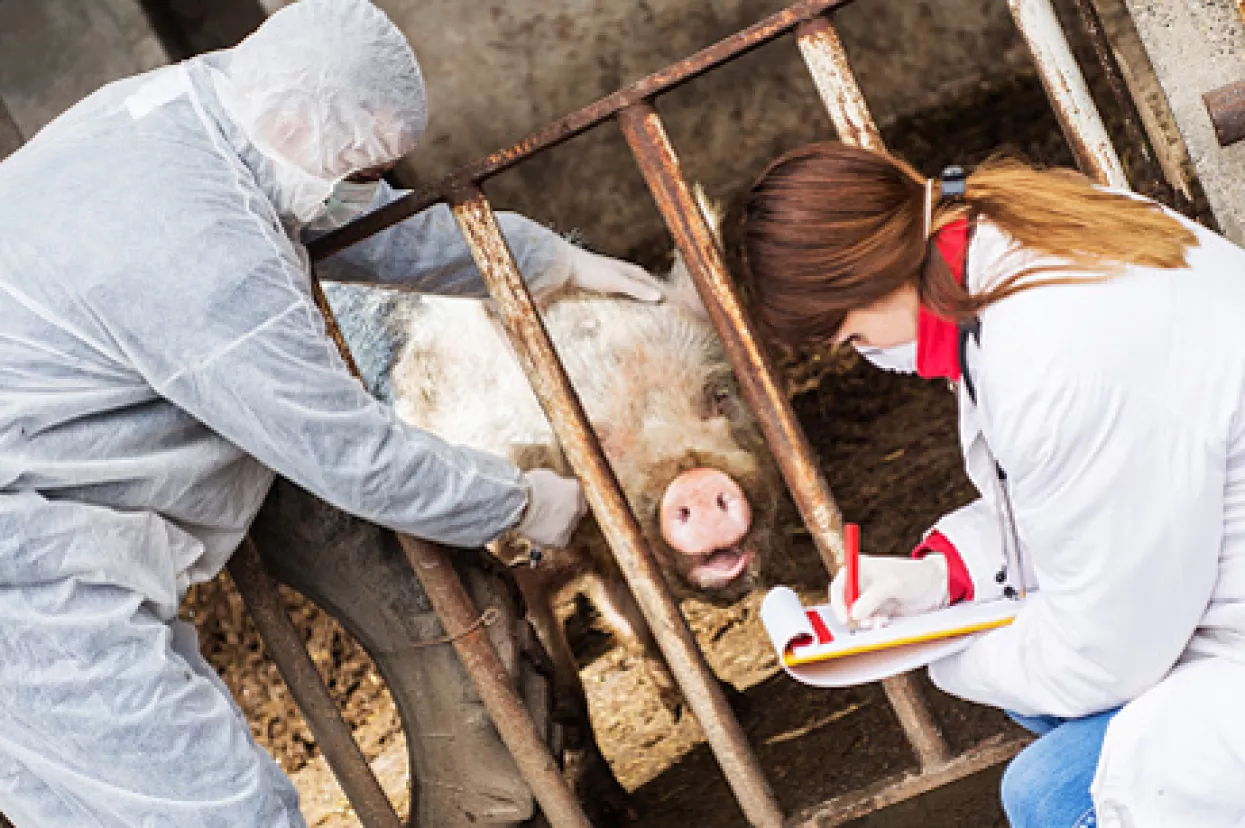 Europarlamentarci za kloniranje životinja u medicinske svrhe. Ali ne kloniranom mesu na trpezi