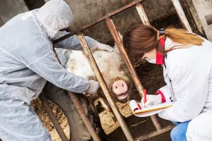 Europarlamentarci za kloniranje životinja u medicinske svrhe. Ali ne kloniranom mesu na trpezi