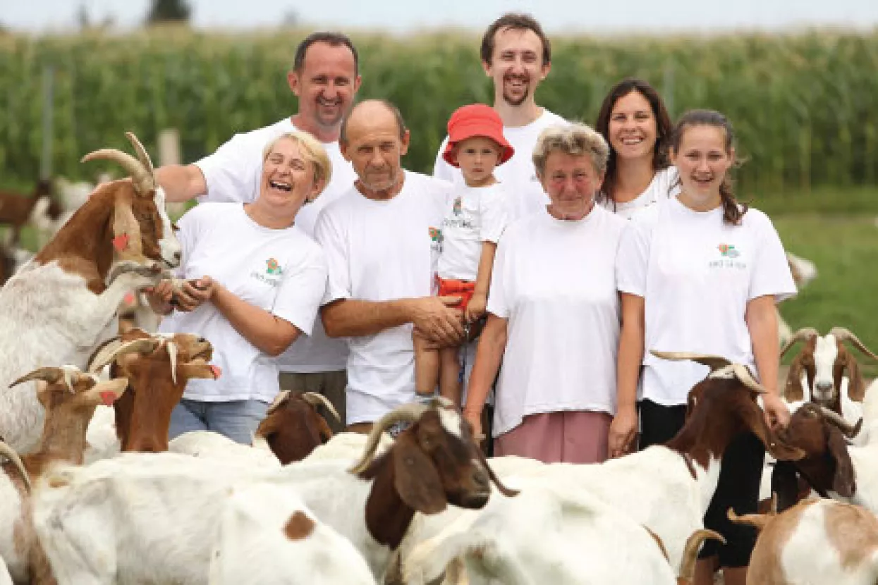 Ekojabuke s pesticidima - Hrvatska dobila svoju ekološku VW aferu