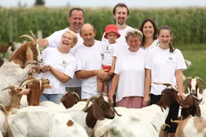 Ekojabuke s pesticidima - Hrvatska dobila svoju ekološku VW aferu