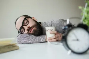 Stručnjaci za uhljebe