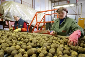 Franck preuzima distribuciju proizvoda Intersnacka