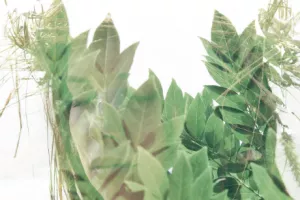 Poetika u godišnjim izvješćima