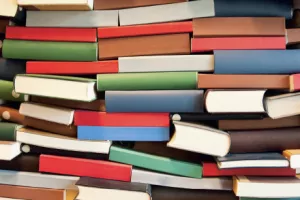 Milanovićevi ministri nisu stigli donijeti  bar 88 pravilnika (2. dio)