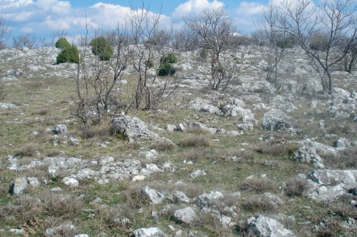 Izvanparnični postupak - Izjave susjeda ne mogu biti osnova za uknjiženje