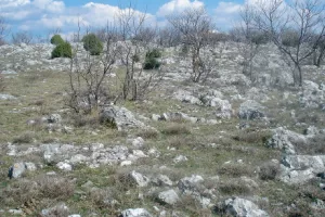 Izvanparnični postupak - Izjave susjeda ne mogu biti osnova za uknjiženje