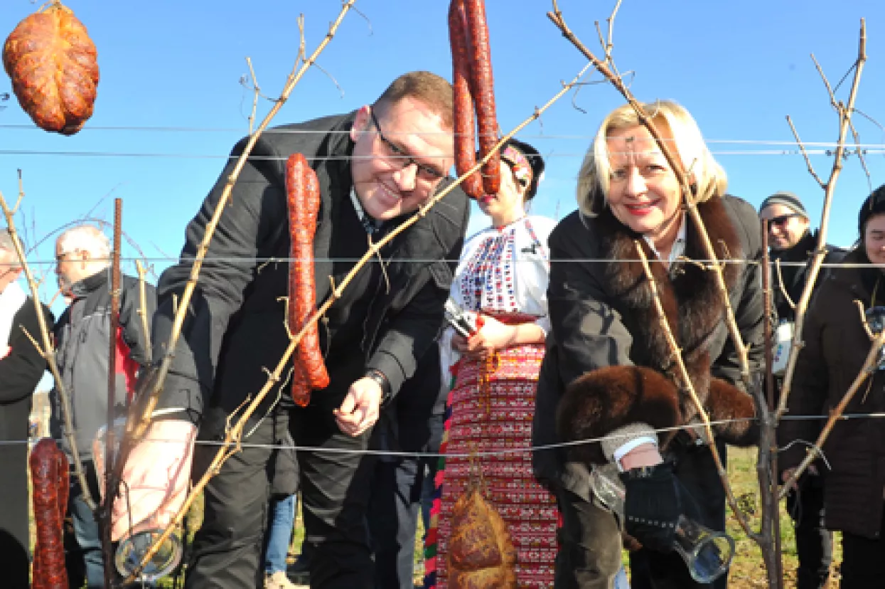 Ljerka Puljić potvrdila nastavak razvojne strategije vinarije Belje
