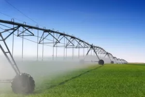 Kanal Dunav – Sava: Promet i navodnjavanje, ali s mnogo nepoznanica