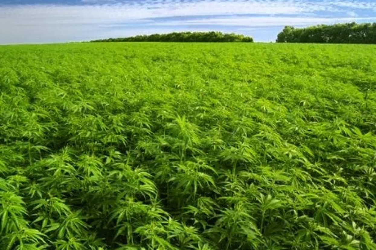 Evo na što građani EU potroše najmanje 24 milijadre eura godišnje