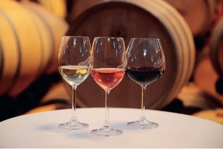 Ovo su mjere za zaustavljanje negativnih trendova u vinarstvu