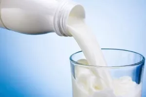 Mljekarski sektor će ove godine dobiti sto milijuna kuna više nego lani