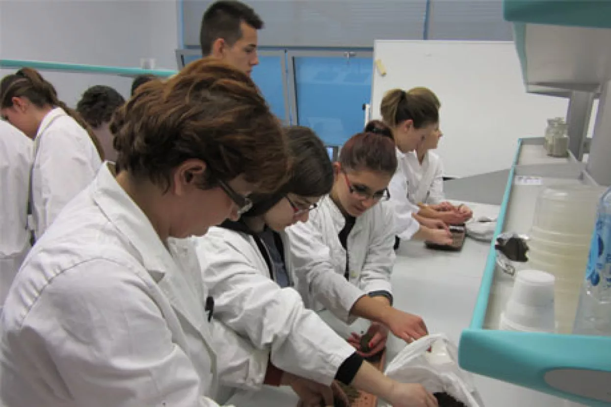 Inovativna škola za zelenu budućnost