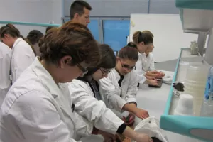 Inovativna škola za zelenu budućnost