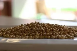 Vrijeme u Brazilu i Argentini uskomešalo tržište