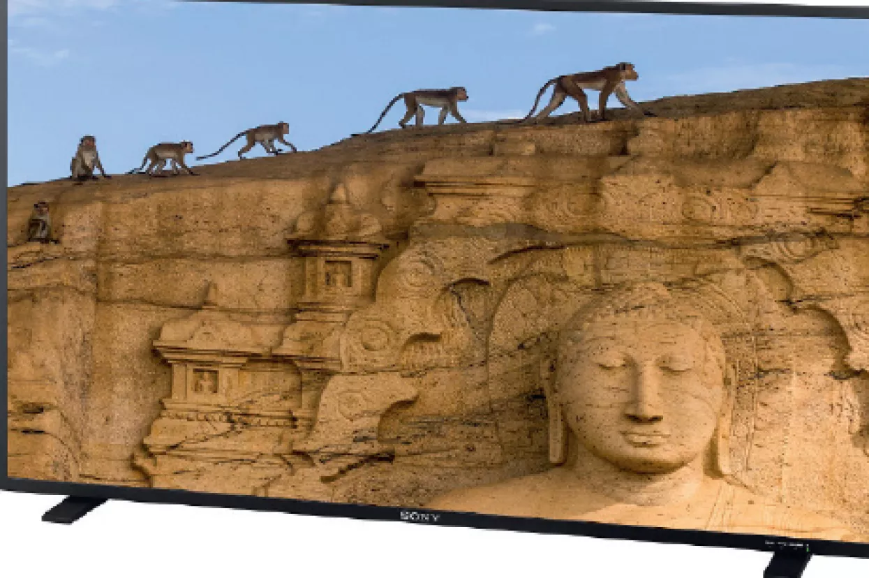 Sony, PVM-X550 je profesionalac otporan na inkasatore