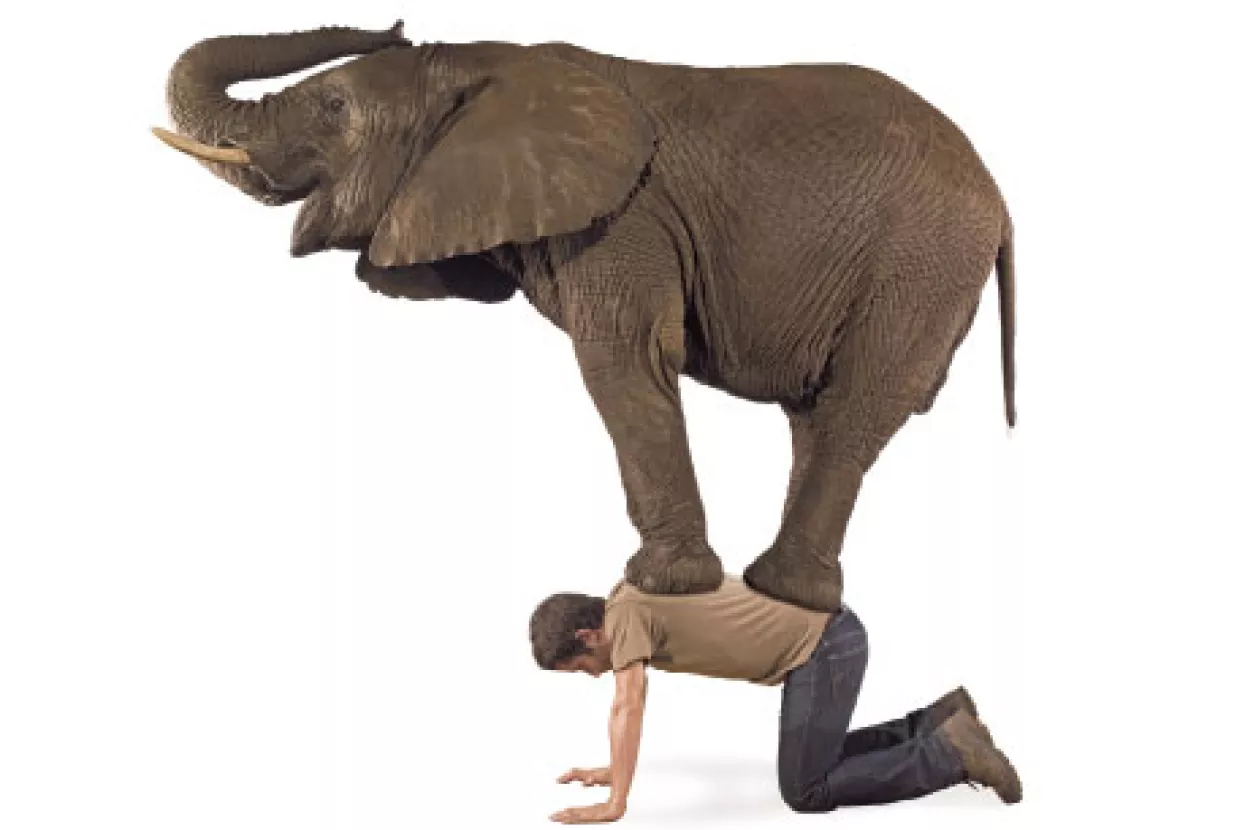 Imidž pretvoren u brojke i znakove