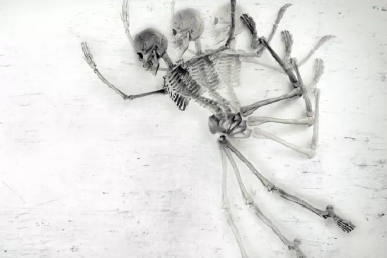 Humanizacija brendova je nužnost, a ne modni hit