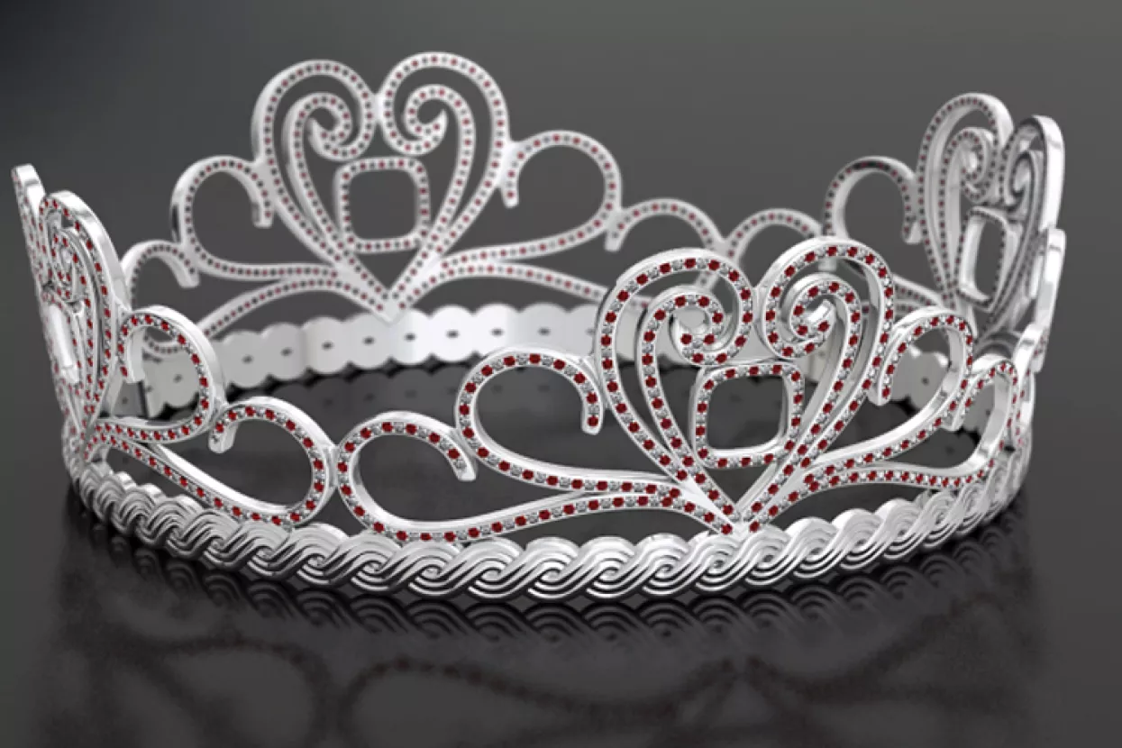 Ekonomalije: Misice imaju bolje programe od SDP-a, HDZ-a i Mosta