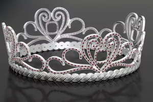 Ekonomalije: Misice imaju bolje programe od SDP-a, HDZ-a i Mosta