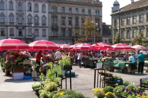 Uskraćen im je novi ugovor, ali obrtnici i dalje rade na Britancu