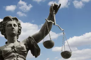 Edis Felić: Jerina Malešević dobila bitku protiv države, ali još ne i rat