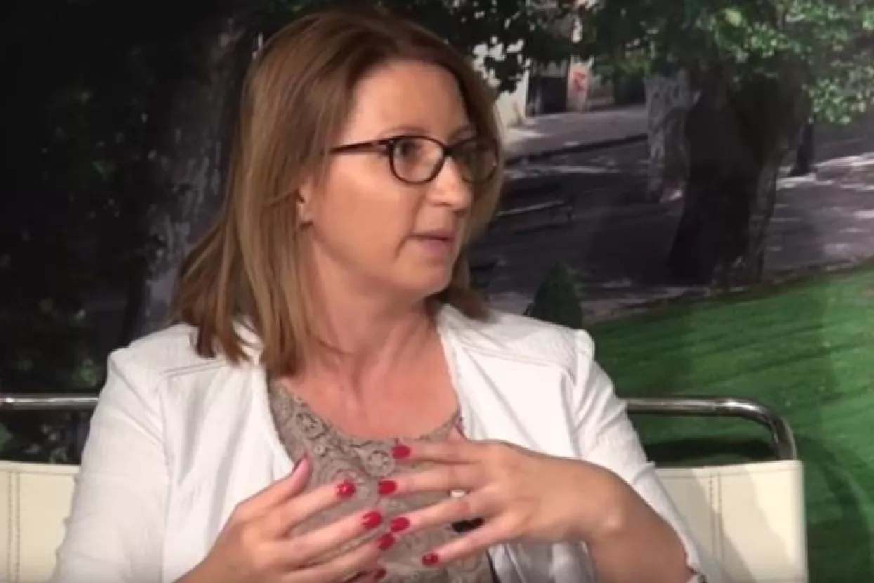 Maletić dorađuje gospodarski program Ifo instituta, a ovo su njegovi glavni naglasci...