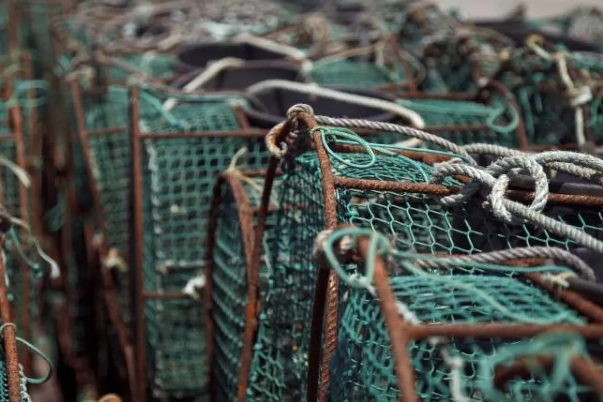 Hrvatska i Italija produljile ograničenje ribolova u Jabučkoj kotlini