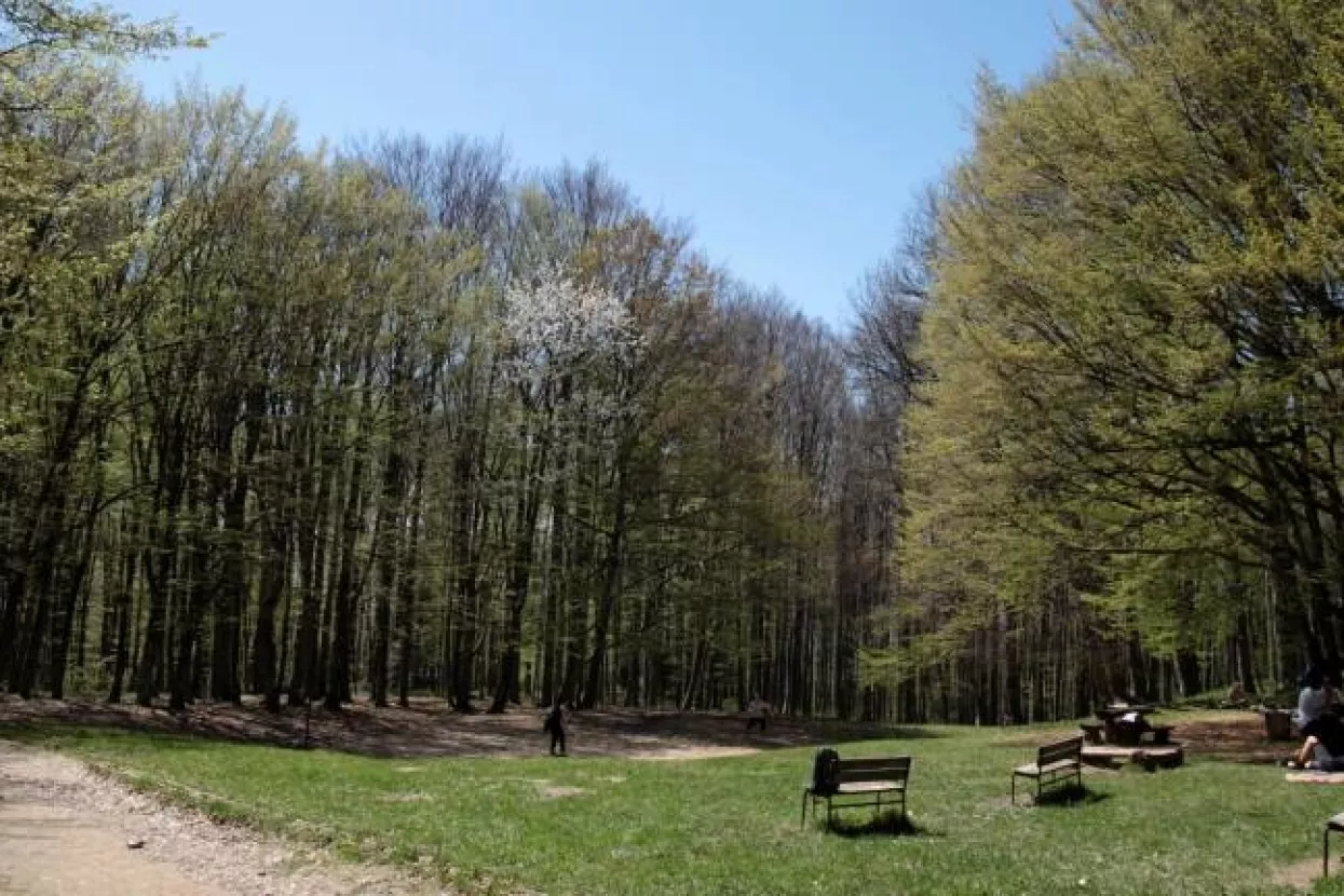 Pavelić i Copić potpisali ugovor o dodjeli gratis novca za projekt ForestFlow