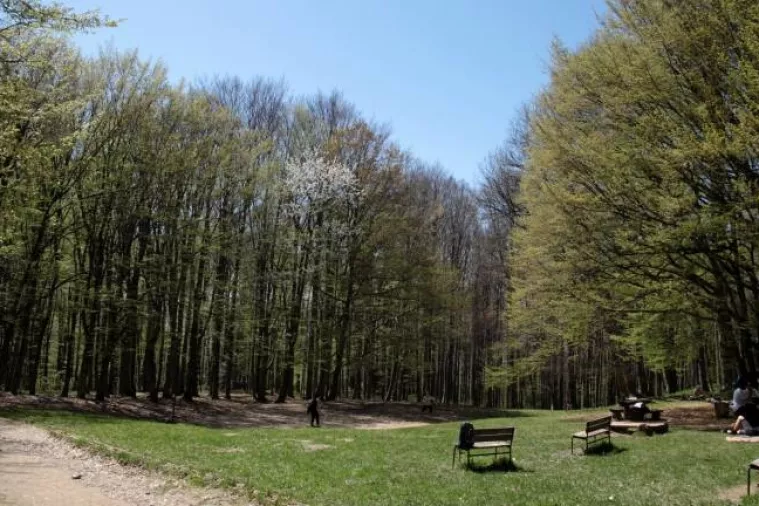 Pavelić i Copić potpisali ugovor o dodjeli gratis novca za projekt ForestFlow