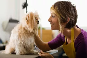 Mazite ljubimca i riješite se stresa