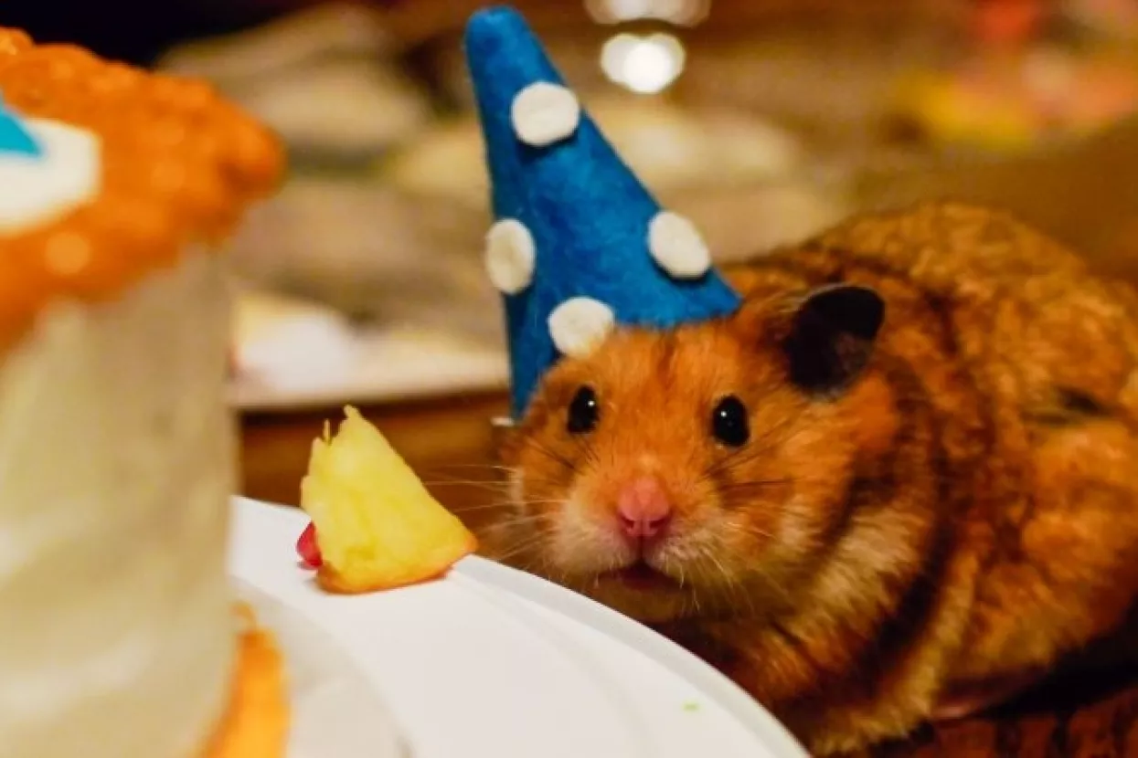 Svjetski milijarderi nagomilali 1,7 bilijuna dolara gotovog novca