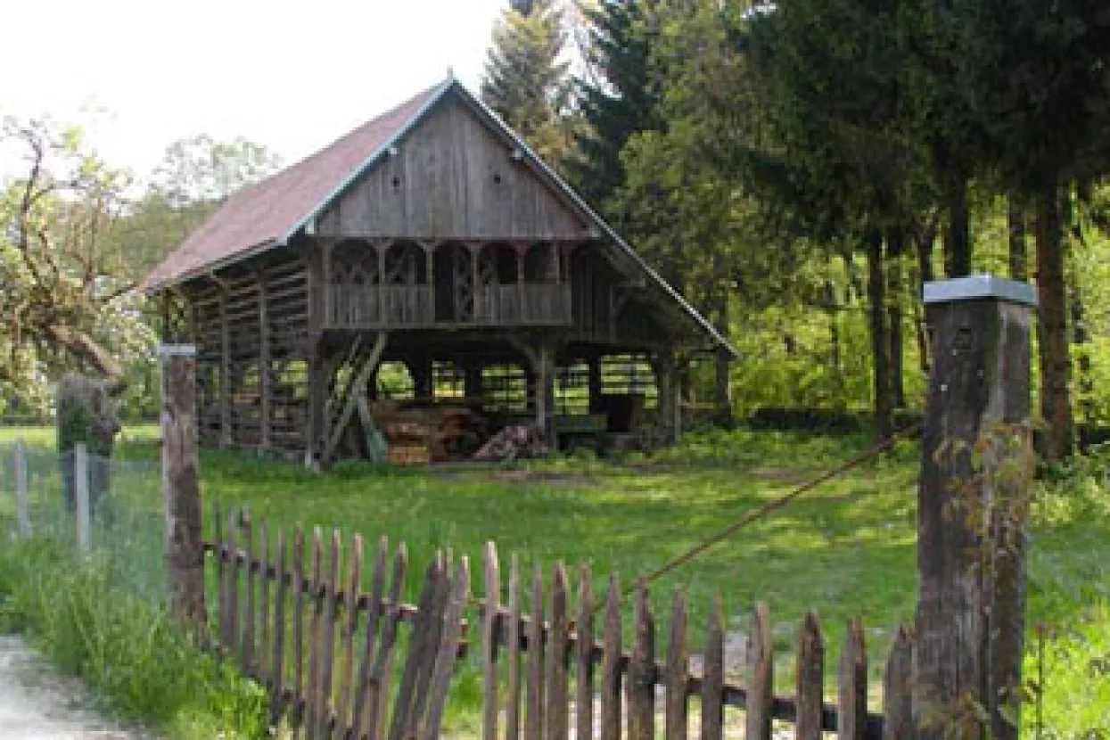 Bespuća gospodarske zbiljnosti - Umiranje u ljepoti