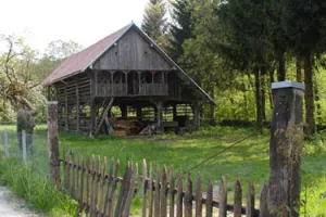 Bespuća gospodarske zbiljnosti - Umiranje u ljepoti