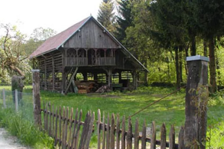 Bespuća gospodarske zbiljnosti - Umiranje u ljepoti