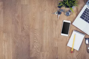 Dok se u Hrvatskoj smatraju sumnjivima, u svijetu tvrtke s jednim ili bez zaposlenih nose gospodarstvo