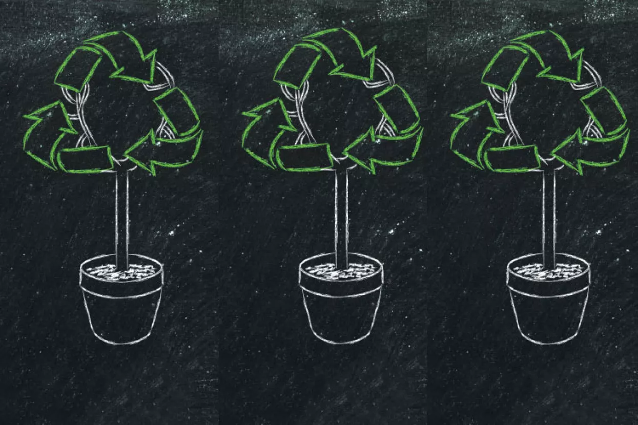 Domaće ikone  kružnoga gospodarstva