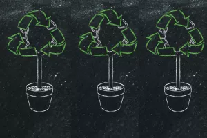 Domaće ikone  kružnoga gospodarstva