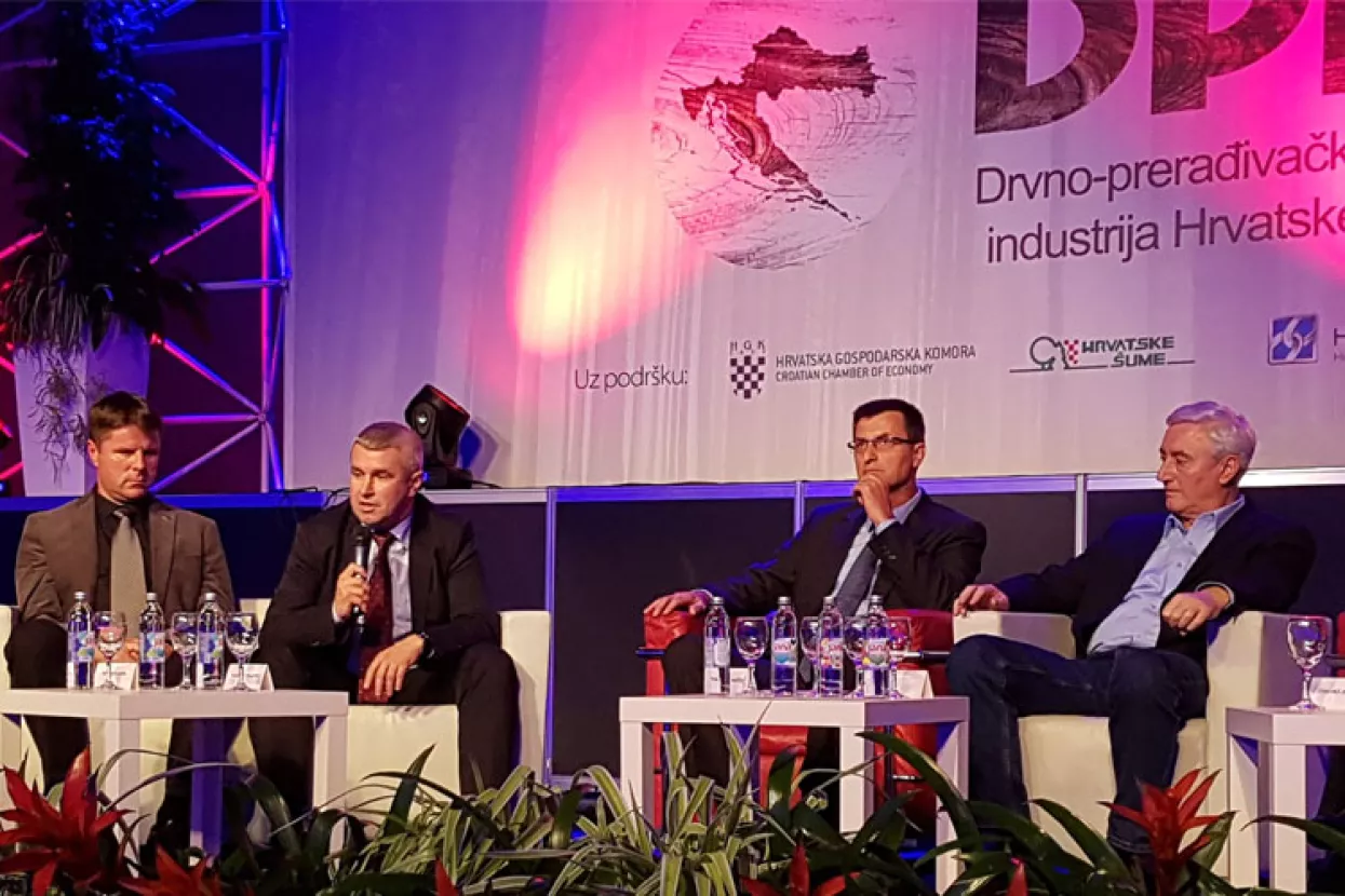 Nužni revizija ugovora za obnovljive izvore, repozicioniranje Hrvatskih šuma i strategija