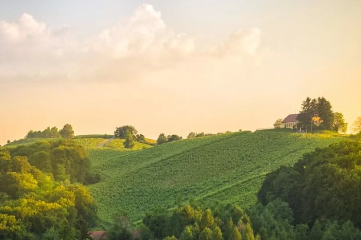 Što se sve može vidjeti, ali i okusiti u hrvatskim EDEN destinacijama?