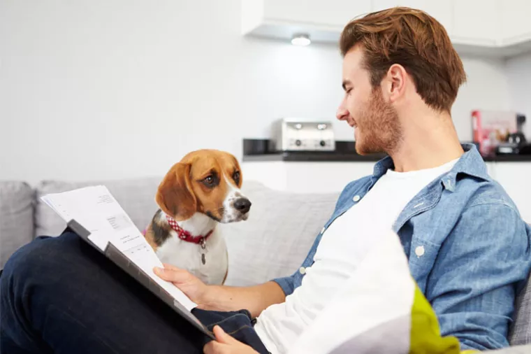 Prijatelji životinja podržavaju uvođenje tzv. poreza na pse