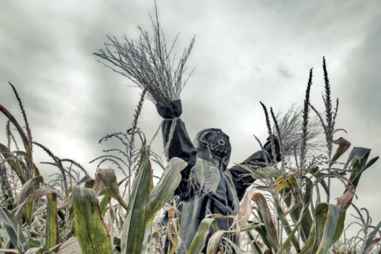 Dobra i zla strašila: Tehnologija u obrani vrtova i usjeva