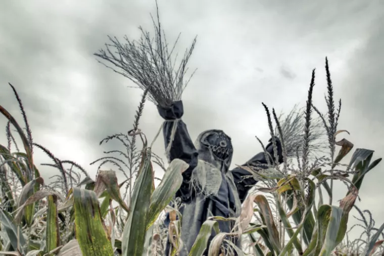 Dobra i zla strašila: Tehnologija u obrani vrtova i usjeva