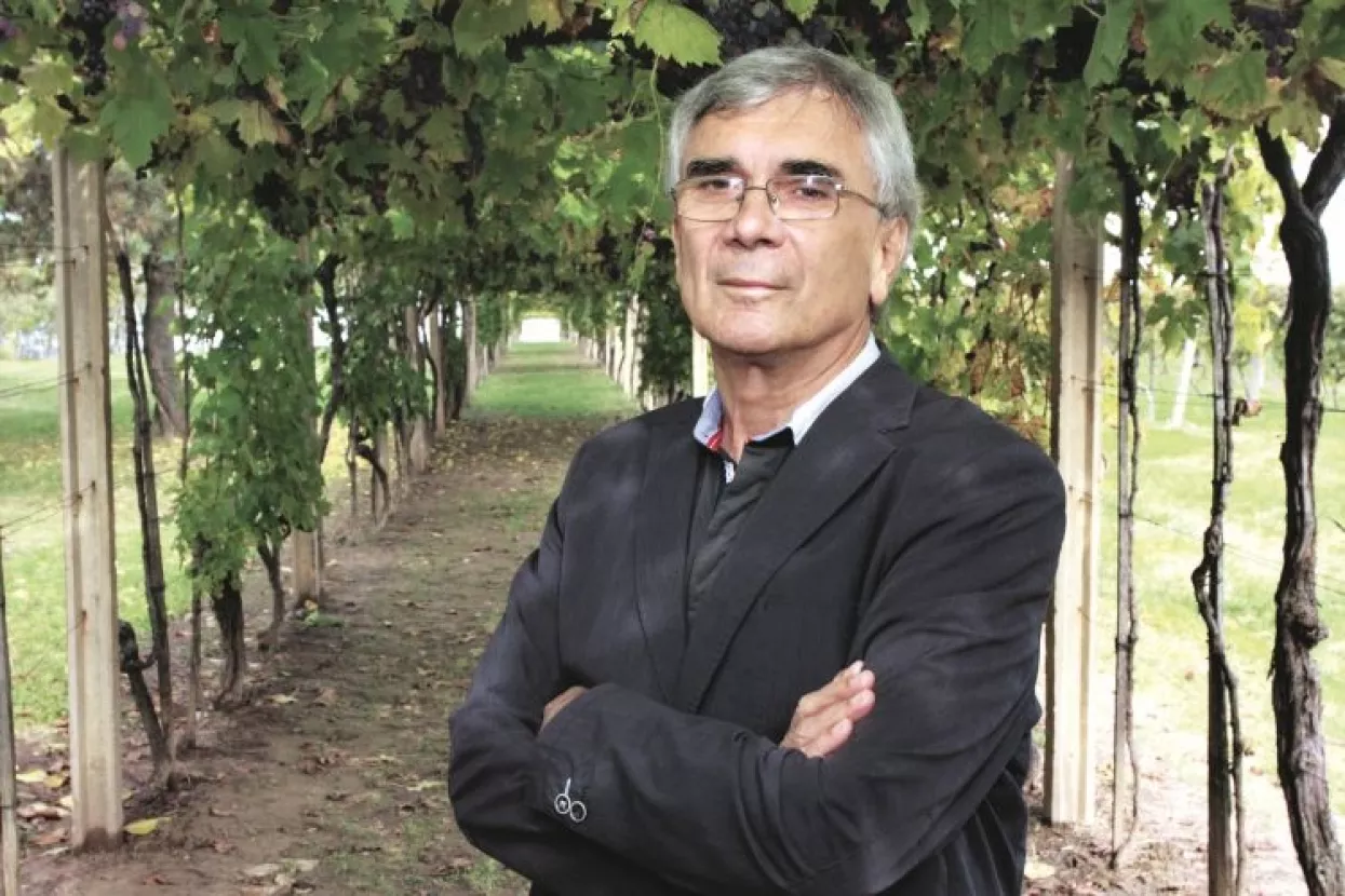 Josip Pavić: Uvozna vina morala bi kao i domaća tražiti dozvole za prodaju od Zavoda za vinarstvo