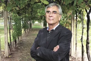 Josip Pavić: Uvozna vina morala bi kao i domaća tražiti dozvole za prodaju od Zavoda za vinarstvo