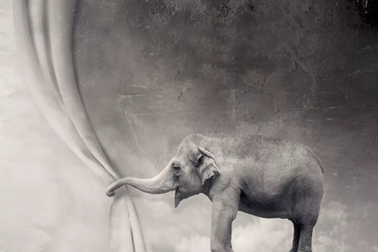 Svjetsko tržište PR-a u prošloj je godini bilo 'teško' oko 10,7 milijardi dolara