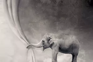 Svjetsko tržište PR-a u prošloj je godini bilo 'teško' oko 10,7 milijardi dolara