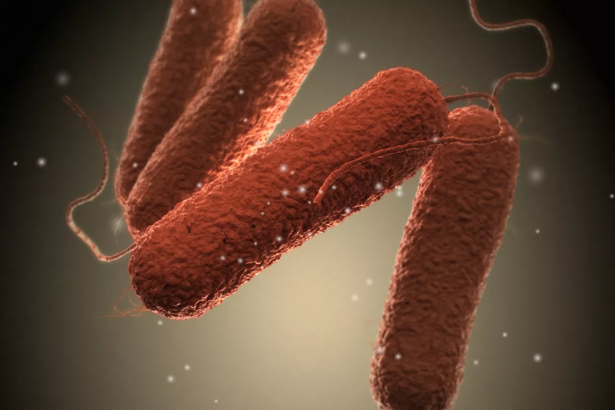 Prvo povlačenje svježeg mesa iz Hrvatske zbog salmonele, proizvođač ogorčen