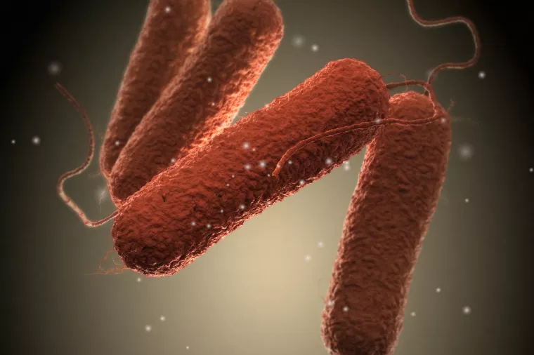 Prvo povlačenje svježeg mesa iz Hrvatske zbog salmonele, proizvođač ogorčen