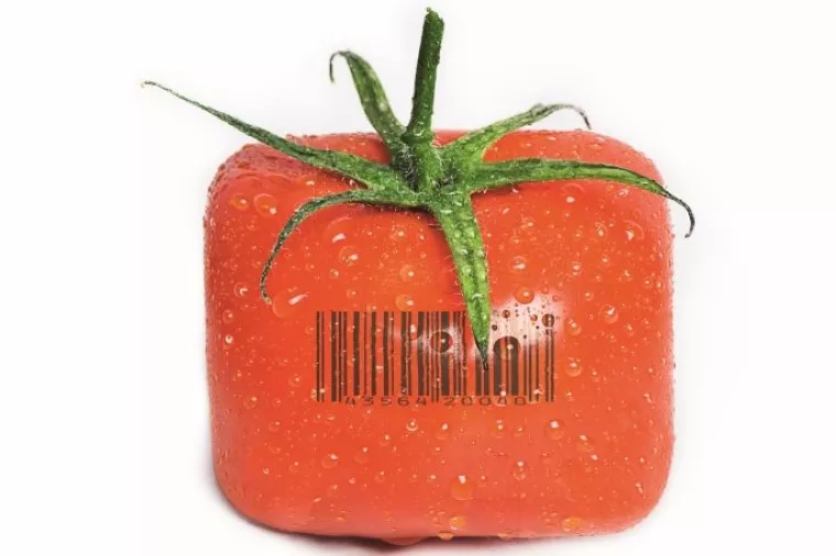 Smeće u Hrvatskoj: Uvozna hrana uništava hrvatsko zdravlje i poljoprivredu