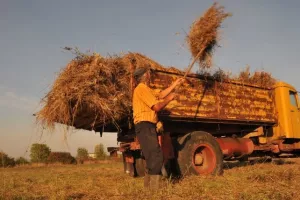 'Obećano-učinjeno': Tolu&scaron;ić osigurao 305 milijuna kn vi&scaron;e za poticaje poljoprivrednicima